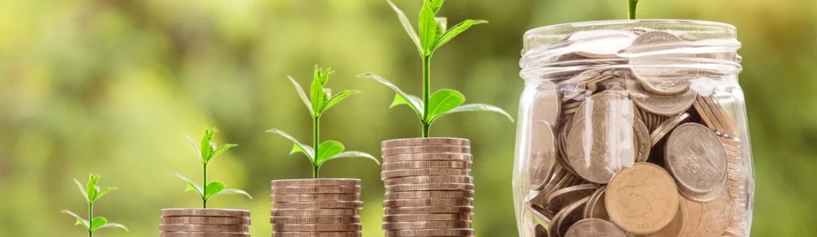 money growing stacked coins with green plants