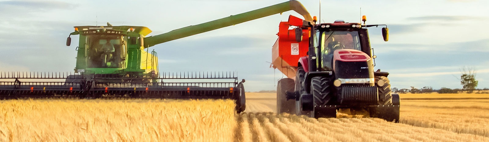 farm machines harvesting wheat